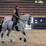 2022-10 - Equita Lyon - Working Equitation - 023 - Ben Rafai